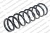 ROC CS8079 Coil Spring